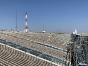 IMG_0315