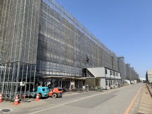 IMG_0317