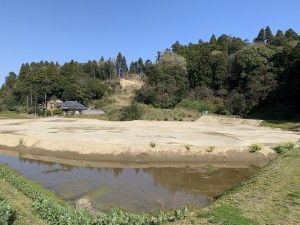 IMG_0326