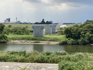 IMG_0446